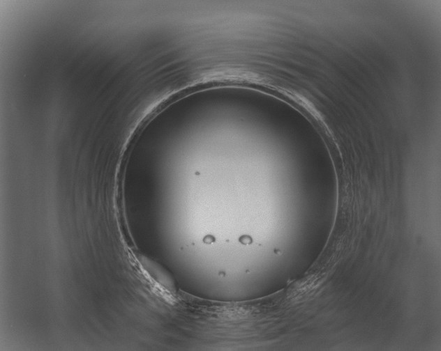 X0000058810799200510031345