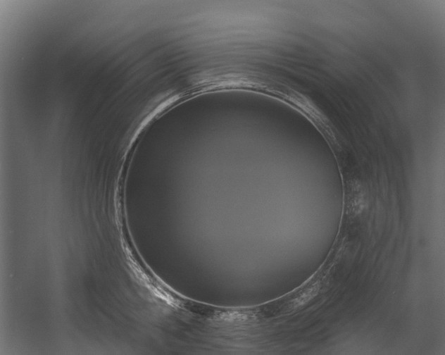 X0000058810806200510031345