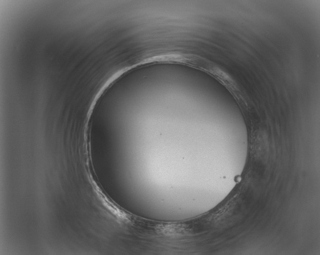 X0000058810808200510031345