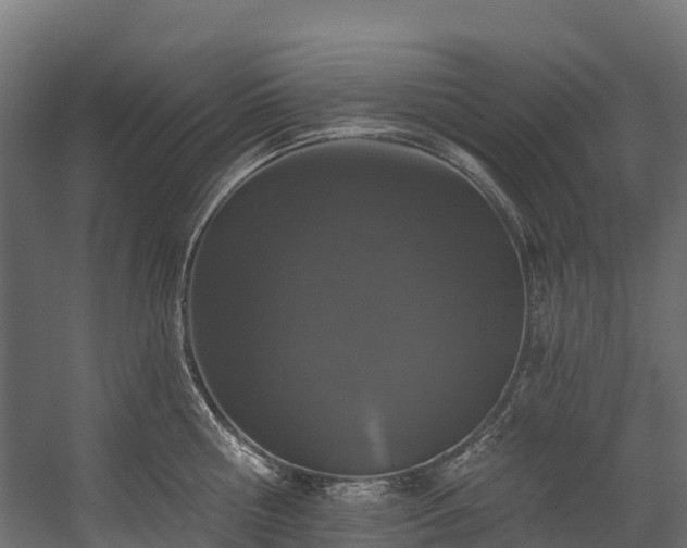 X0000058810810200510031345