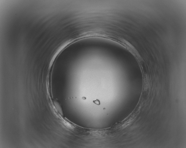 X0000058810812200510031345