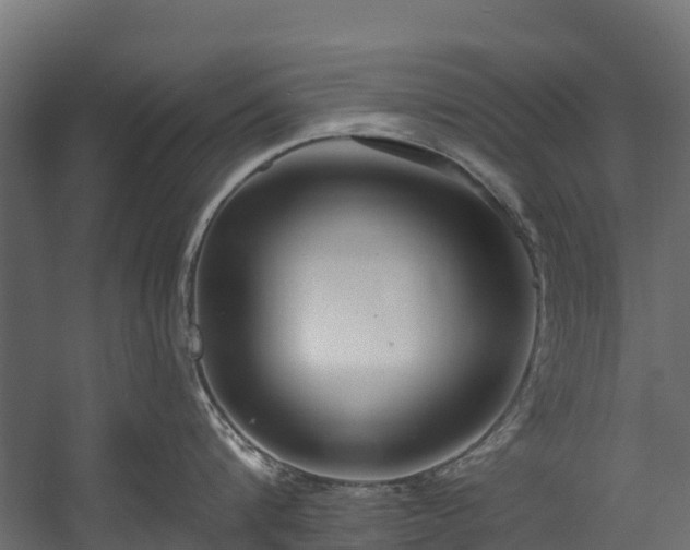 X0000058810816200510031345