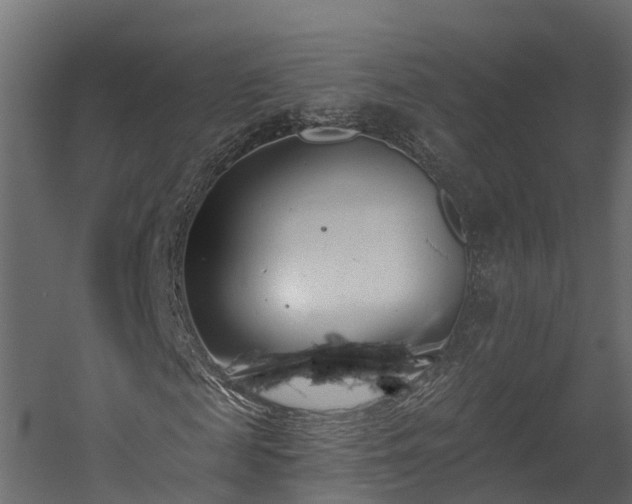 X0000058810817200510031344