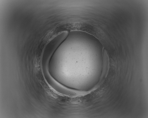 X0000058810818200510031344