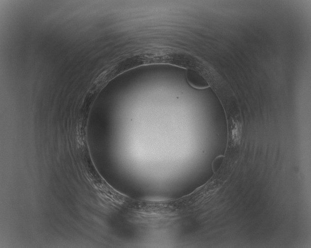 X0000058810819200510031344