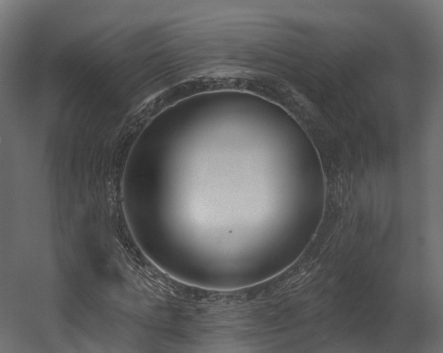 X0000058810821200510031344