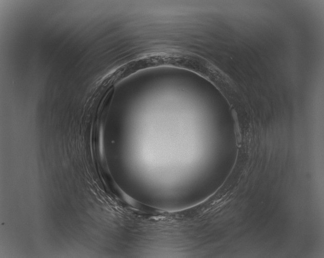 X0000058810822200510031344