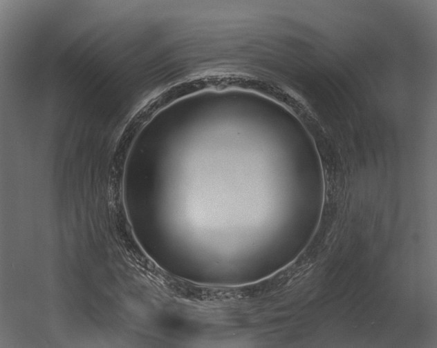 X0000058810823200510031344