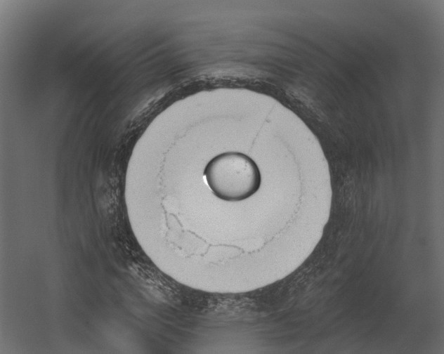 X0000058810824200510031344