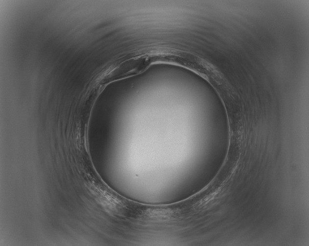 X0000058810825200510031344