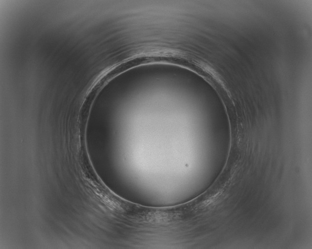 X0000058810829200510031344