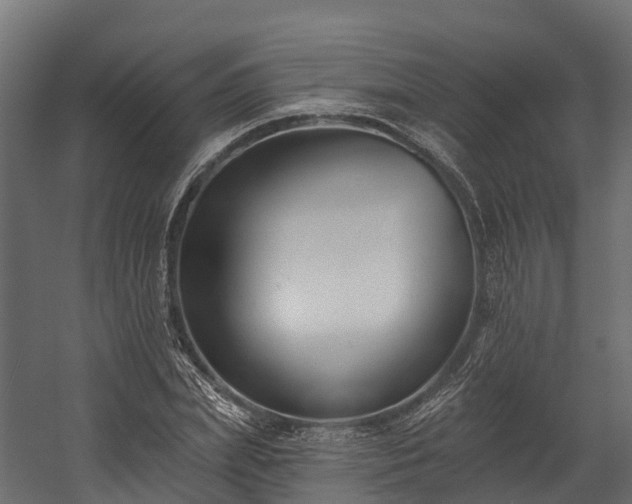 X0000058810831200510031344