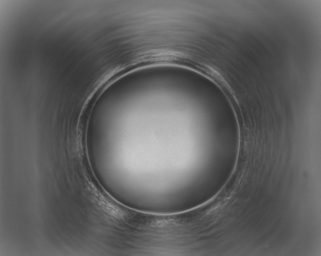 X0000058810835200510031344