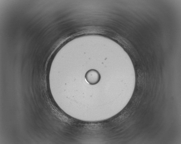 X0000058810836200510031344