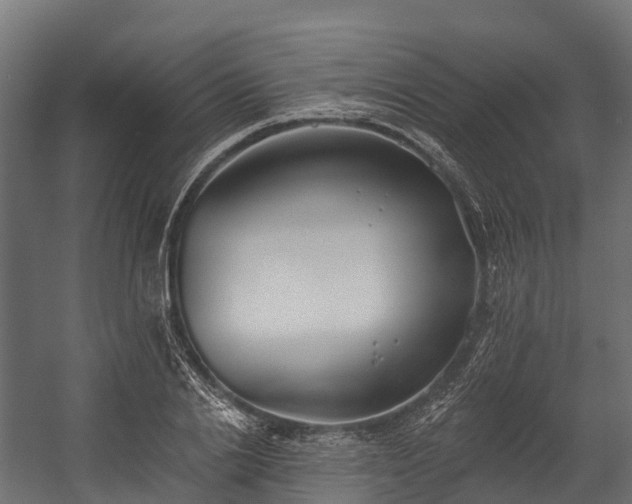 X0000058810838200510031344