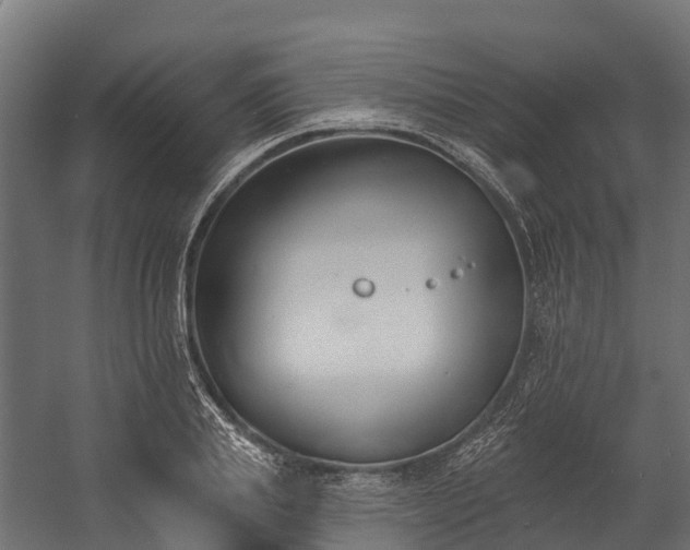 X0000058810839200510031344