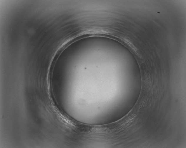 X0000058810840200510031344