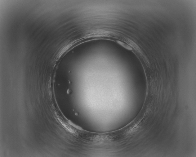 X0000058810842200510031344