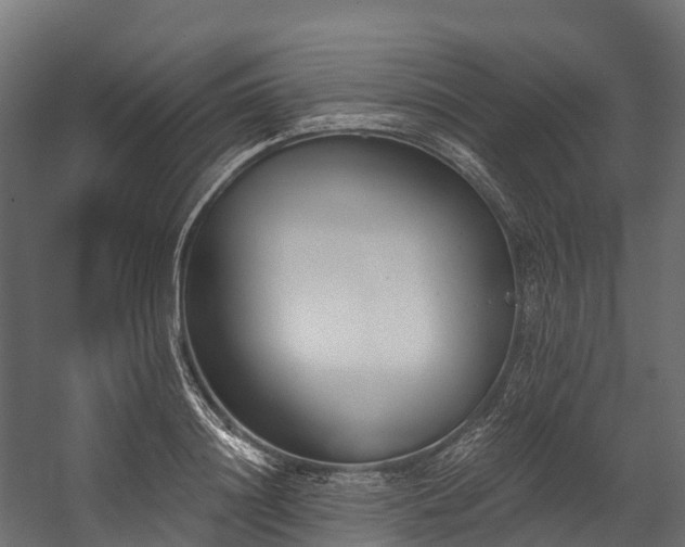 X0000058810844200510031345