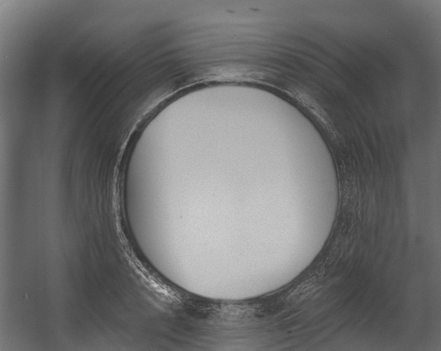 X0000058810848200510031345