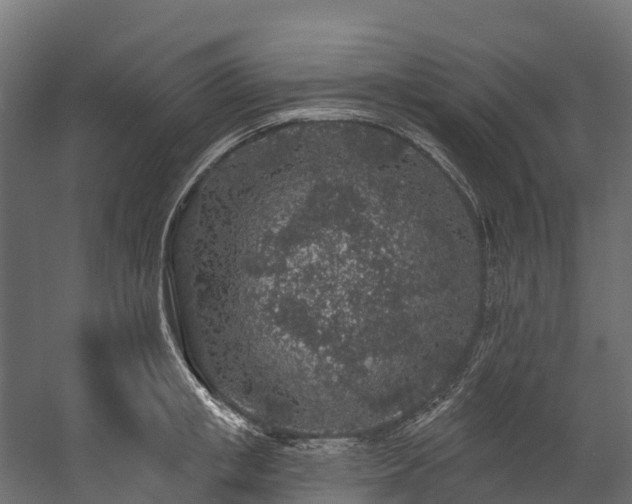 X0000058810853200510031345