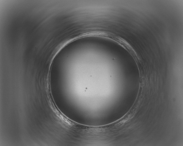 X0000058810860200510031345