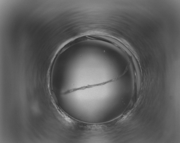 X0000058810862200510031345