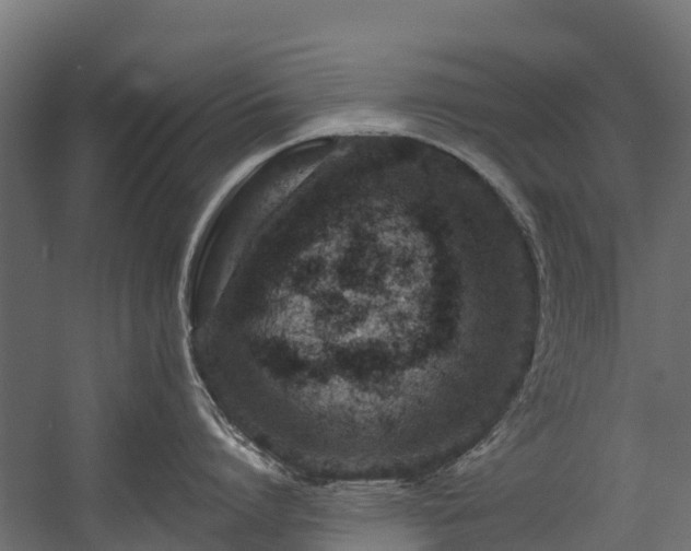 X0000058810864200510031345