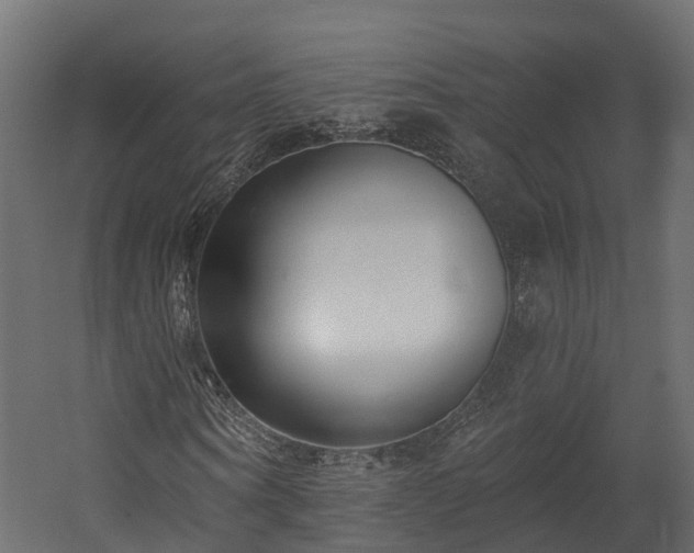 X0000058810866200510031344