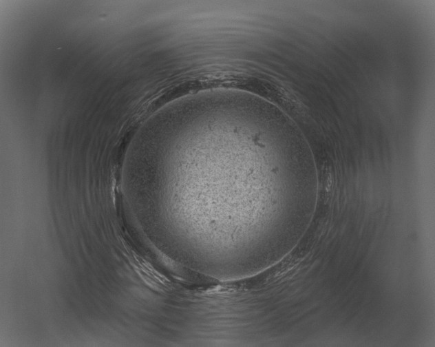 X0000058810868200510031344