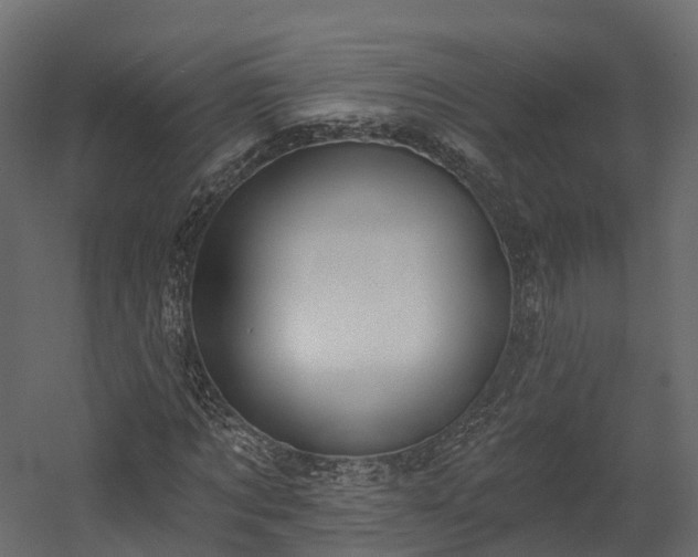 X0000058810869200510031344