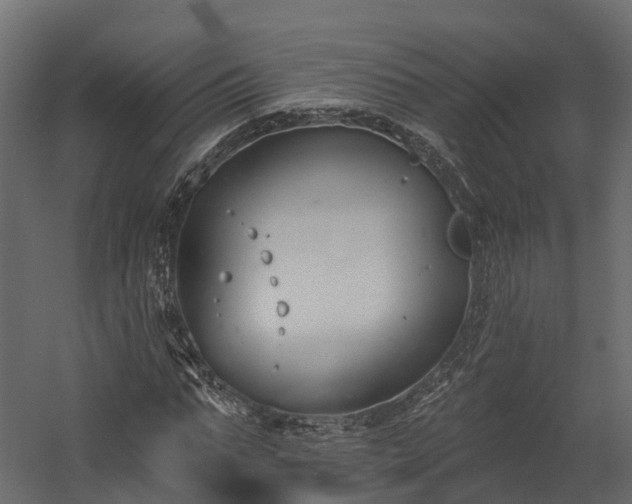 X0000058810871200510031344