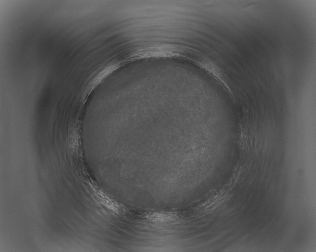 X0000058810874200510031344