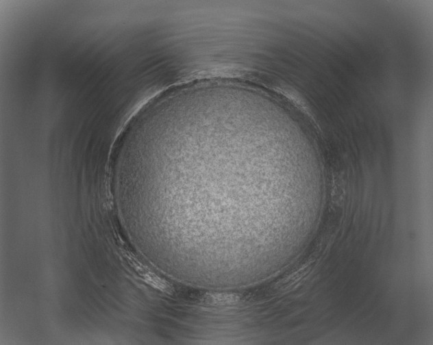 X0000058810878200510031344