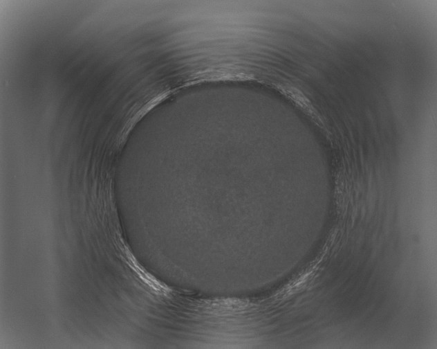 X0000058810881200510031344