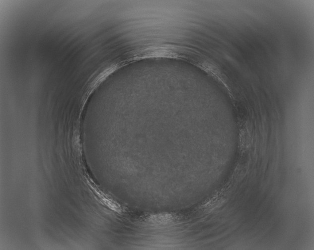 X0000058810882200510031344