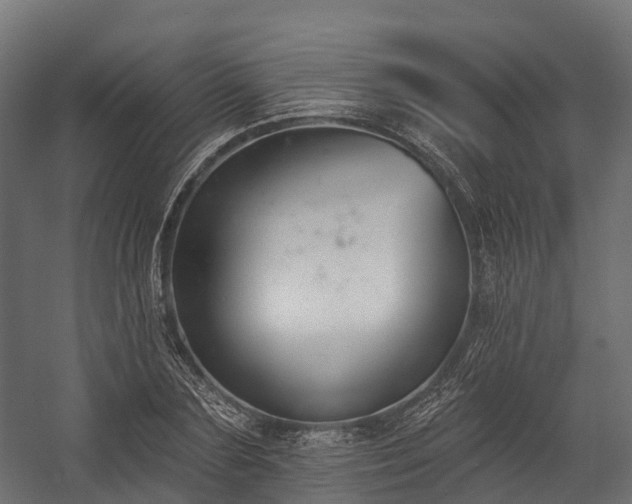 X0000058810883200510031344