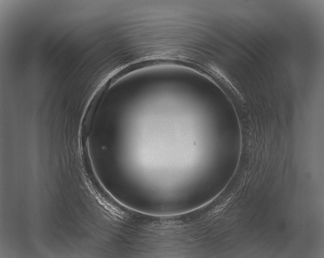 X0000058810884200510031344