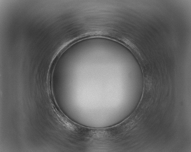 X0000058810886200510031344