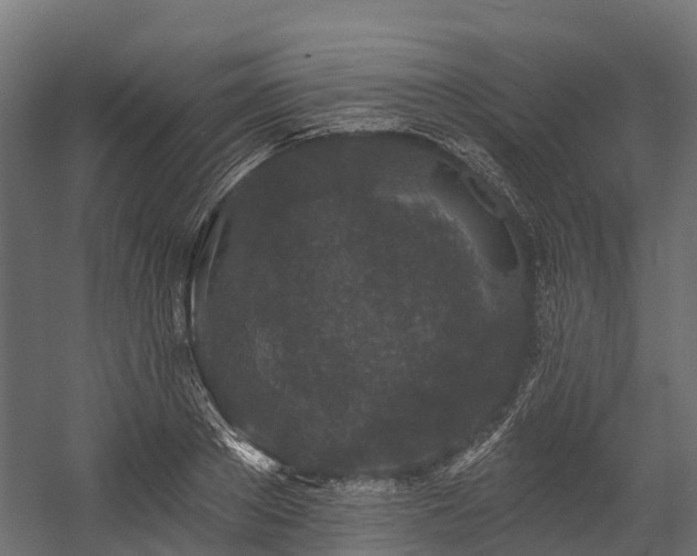 X0000058810889200510031344