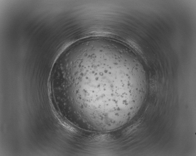 X0000058810891200510031344