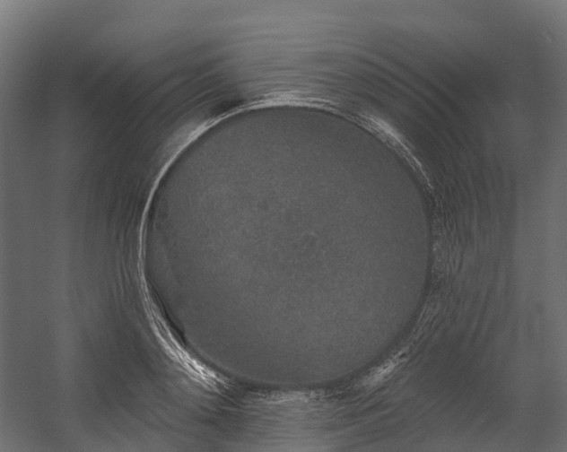 X0000058810892200510031344