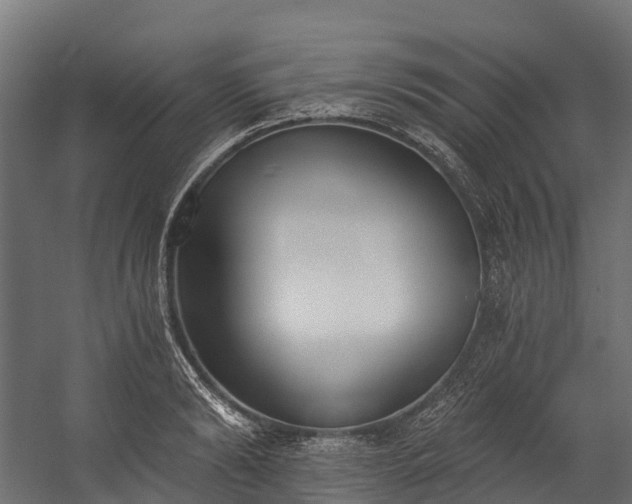 X0000058810894200510031344