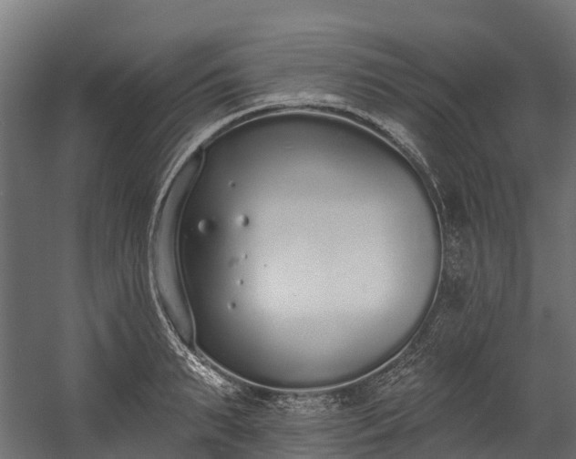 X0000058810895200510031344