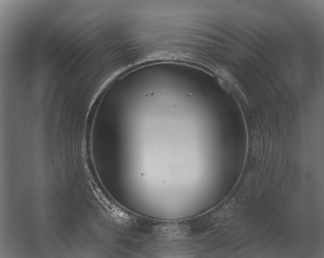 X0000058810896200510031344