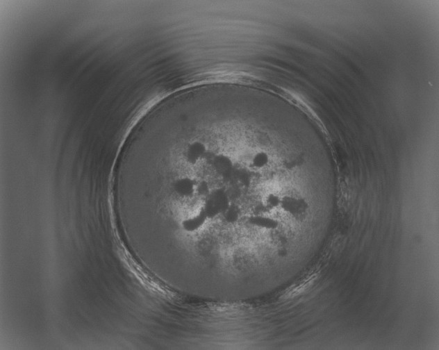 X0000058810899200510031343