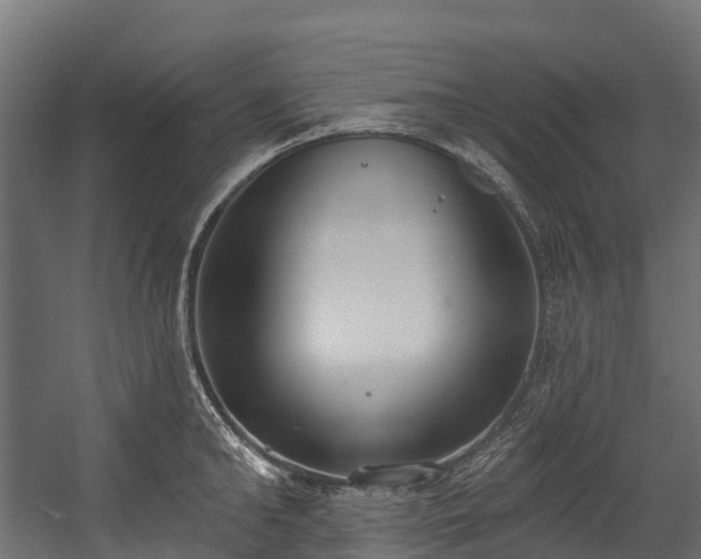 X0000058810902200510031343