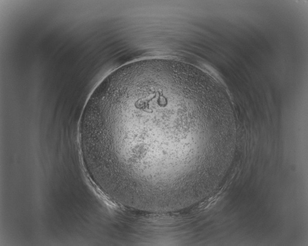 X0000058810907200510031343