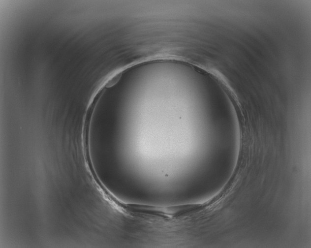 X0000058810910200510031343