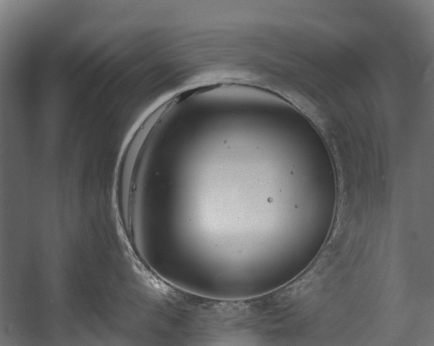 X0000058810912200510031343